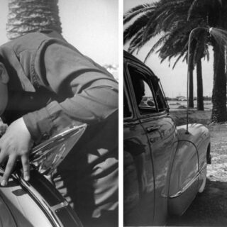 Cómo personalizar tu baño con tapas de inodoro únicas