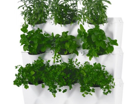 Huertos urbanos, comer sano y cultivar en casa