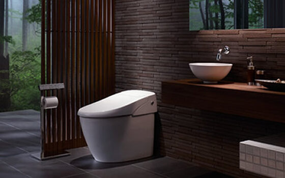 Con los smart-toilets llegan los hackers