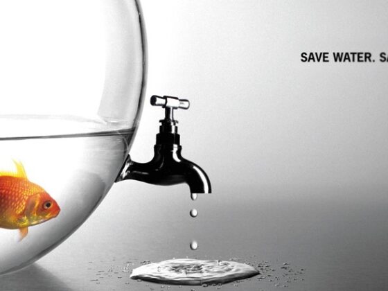 Ahorrar agua en casa es mucho más fácil de lo que parece