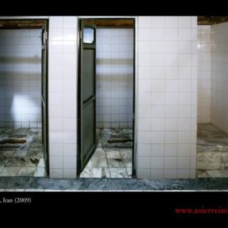 Un estudio alerta sobre la poca diversidad alimenticia que tenemos