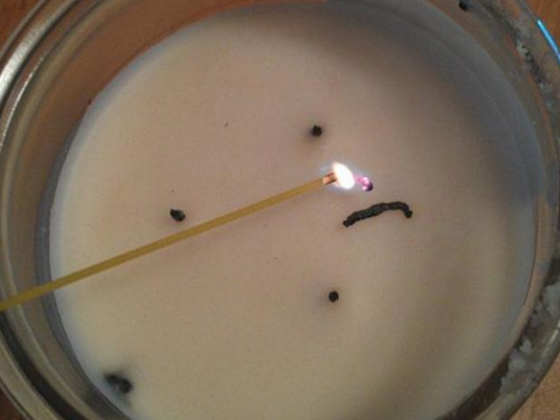 Remedios caseros que nos facilitan la vida