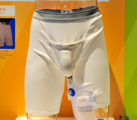 Una exposición sobre el mundo del wc, en Japón, dónde si no