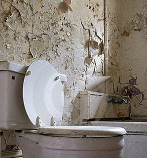 Una ducha de diseño inspirada en flores