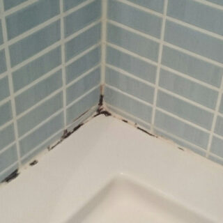 Sistema PGS de SecuriBath®. Máxima seguridad en tu plato de ducha.