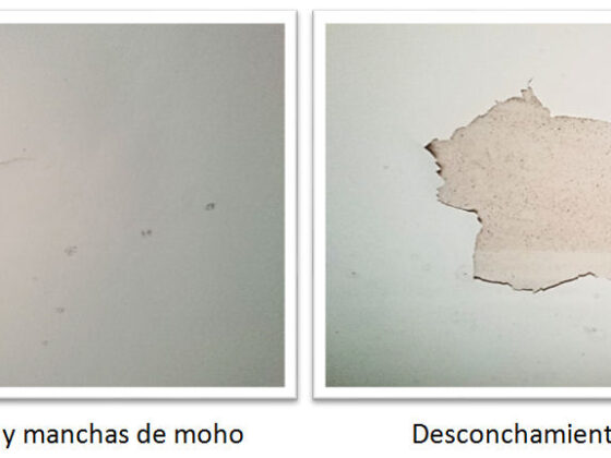 LA PINTURA EN EL BAÑO – Desconchamiento en falso techo