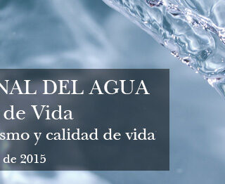 Enjabonarte, el arte del jabón de baño