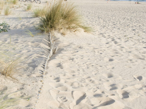 SecuriBath en Cádiz