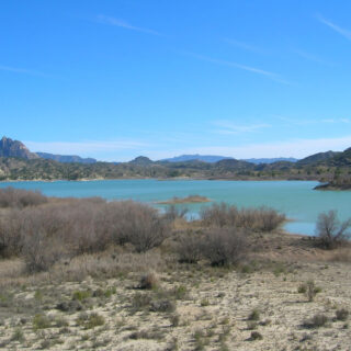 Roca, expertos en grifería