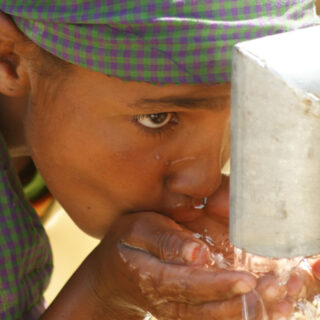¿Sabes qué es el iroko?