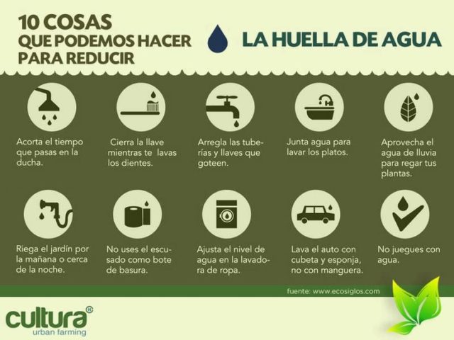 20 ideas para ahorrar agua en casa - SecuriBath Solutions S.L.