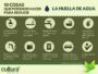 20 ideas para ahorrar agua en casa