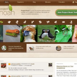 ¿Conoces nuestras ofertas de cambio de bañera por plato de ducha?