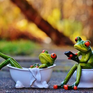 ¿Qué encimera necesitas para tu cocina?