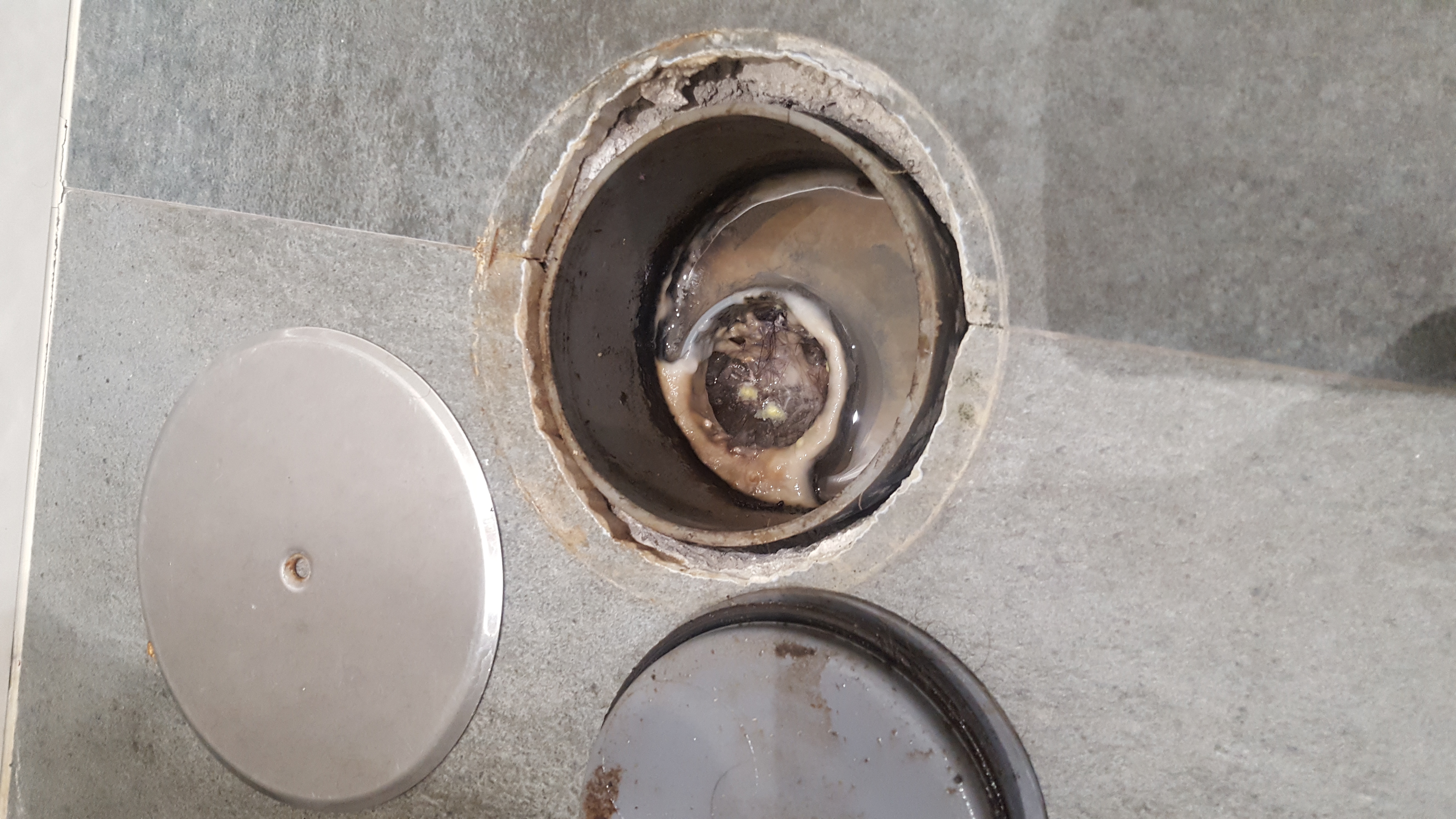 Bote sifónico abierto - aqua