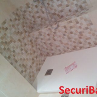 Diseño y funcionalidad en un wc para personas con discapacidad