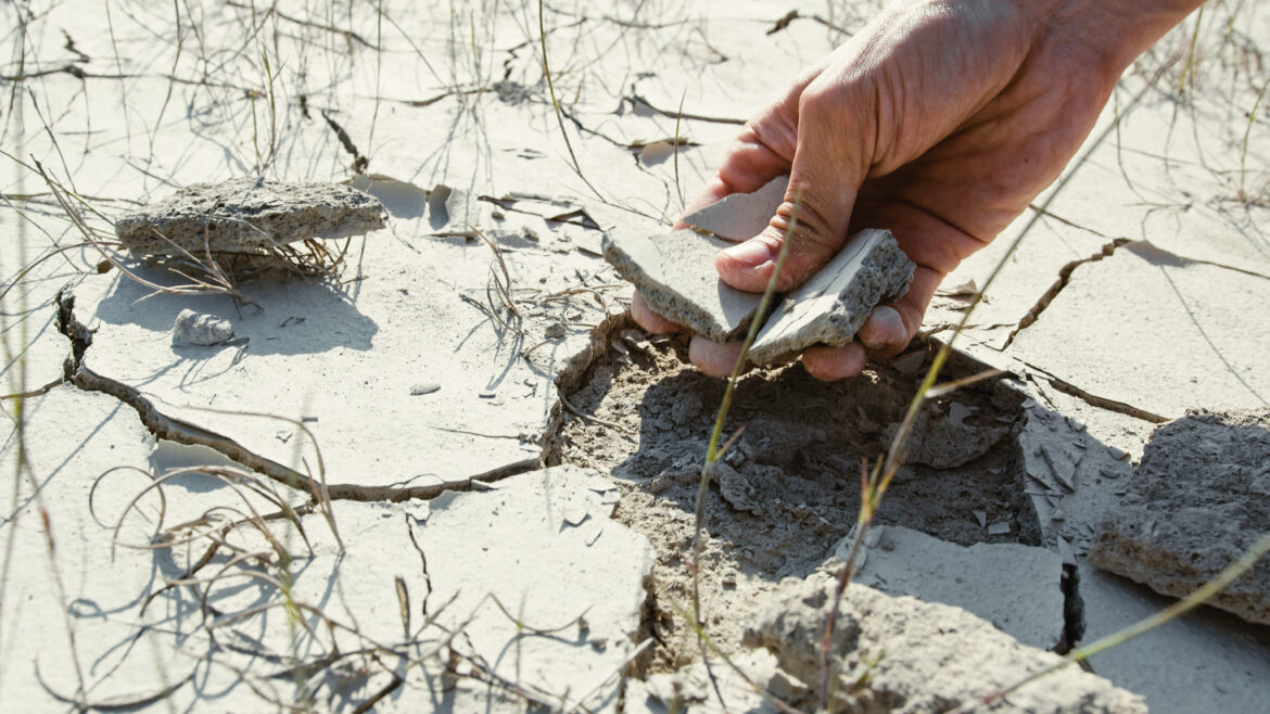 Terreno en sequía ¡empieza a ahorrar agua ya!