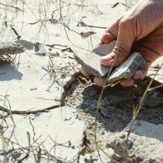 Cómo mantener el bote sifónico de tu ducha