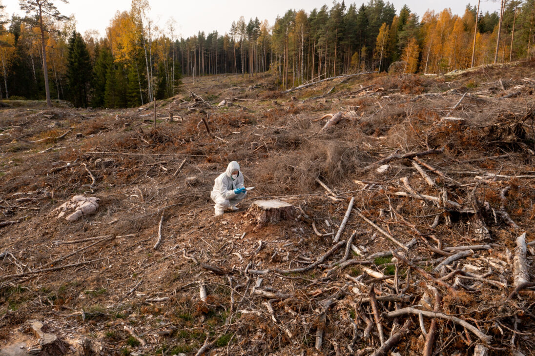 La deforestación es uno de los. factores de riesgo a más tener en cuenta para poner fin al cambio climático.