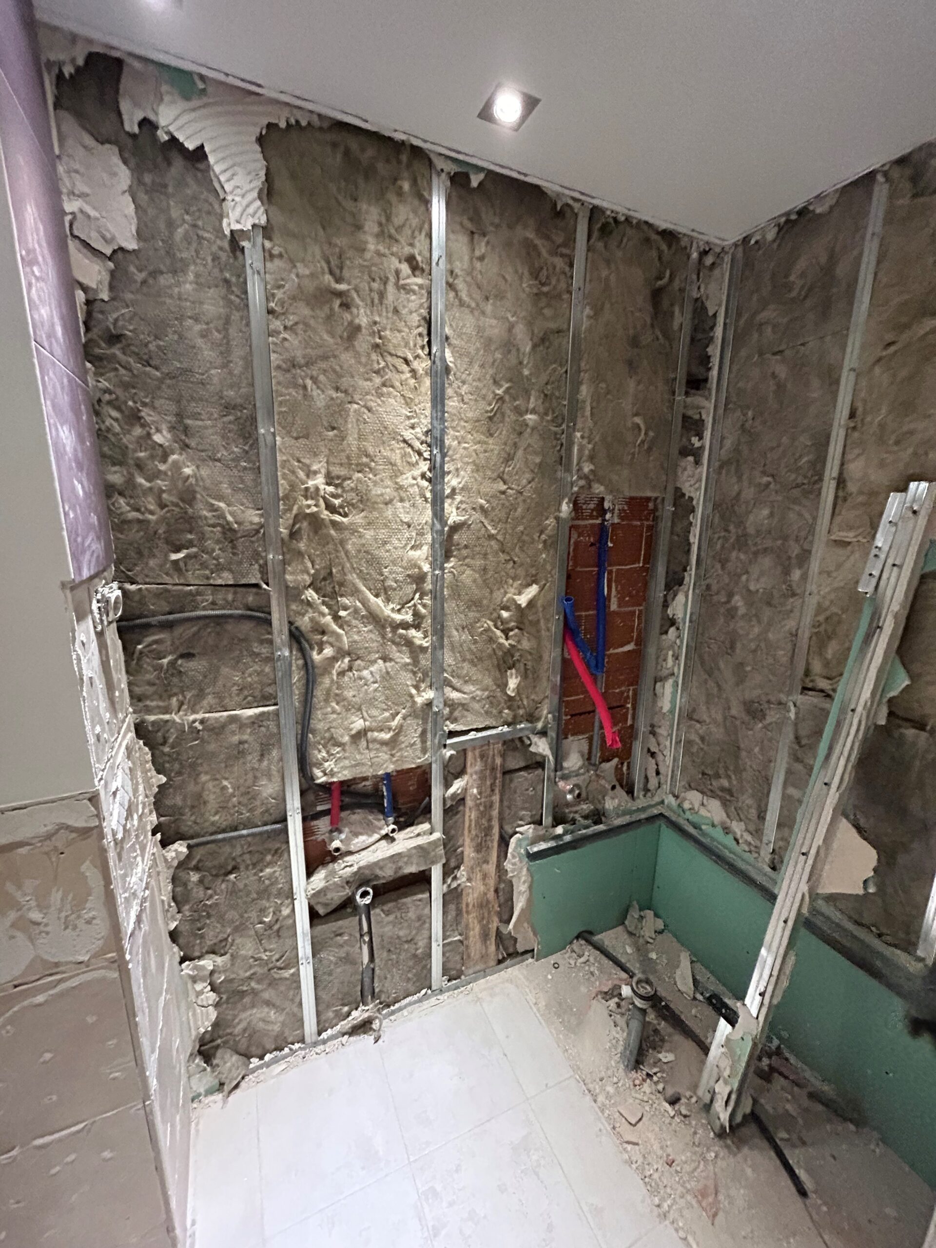 proceso-OBRA-bano-azulejo-escamas-1