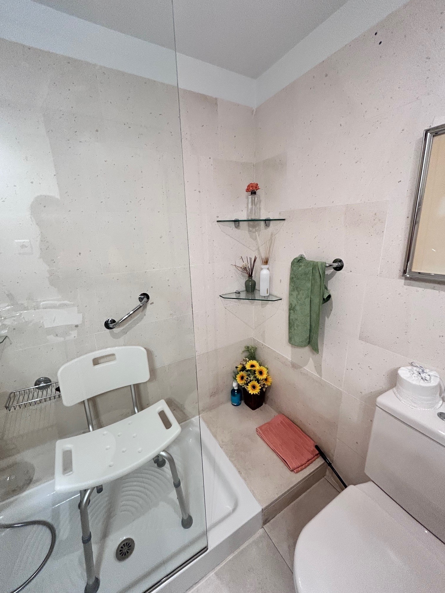 Entrada lateral antes