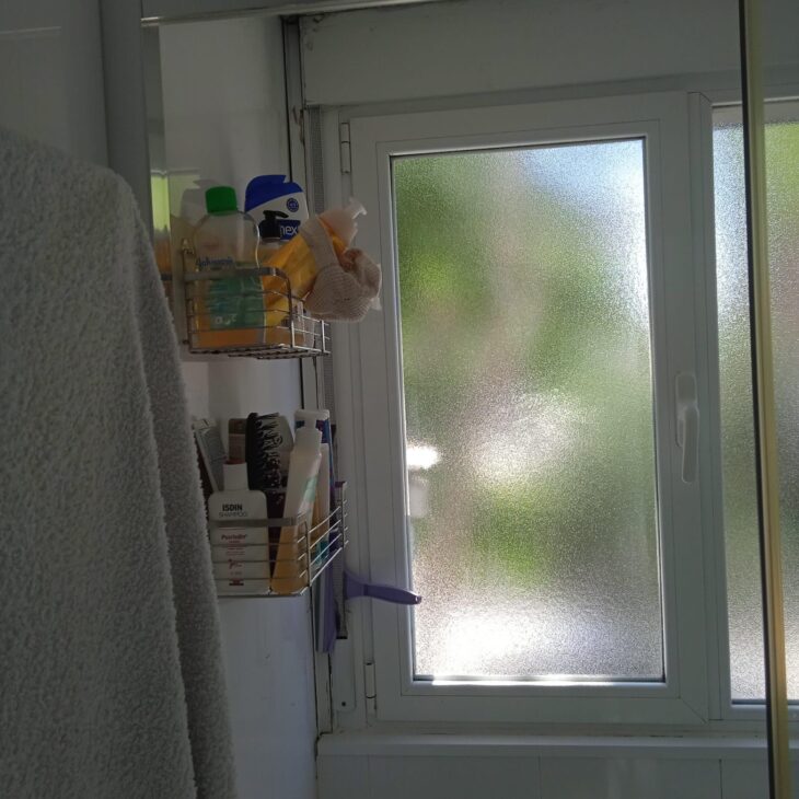 Baño antes de reformar 8