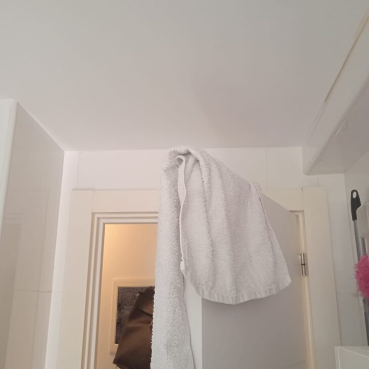 Baño antes de reformar 6