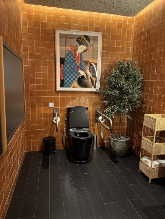 Baño accesible diseño moderno