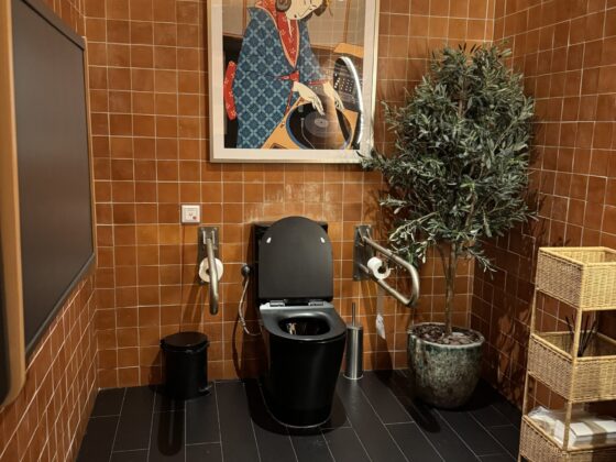 Diseño y funcionalidad: baños bonitos y accesibles para todas las personas