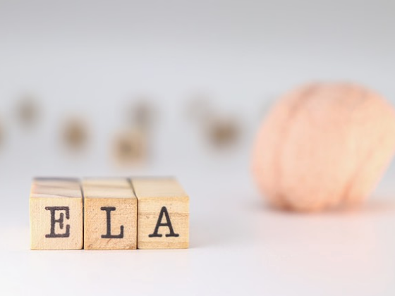 Baños adaptados para personas con ELA: Soluciones especializadas de SecuriBath