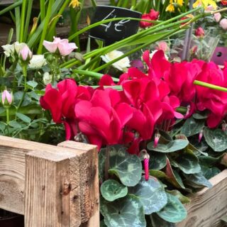 El mejor momento para cambiar la bañera por ducha no es el verano… es ahora