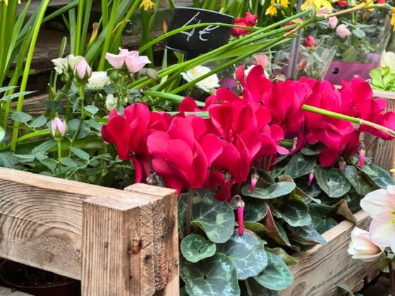 El mejor momento para cambiar la bañera por ducha no es el verano… es ahora